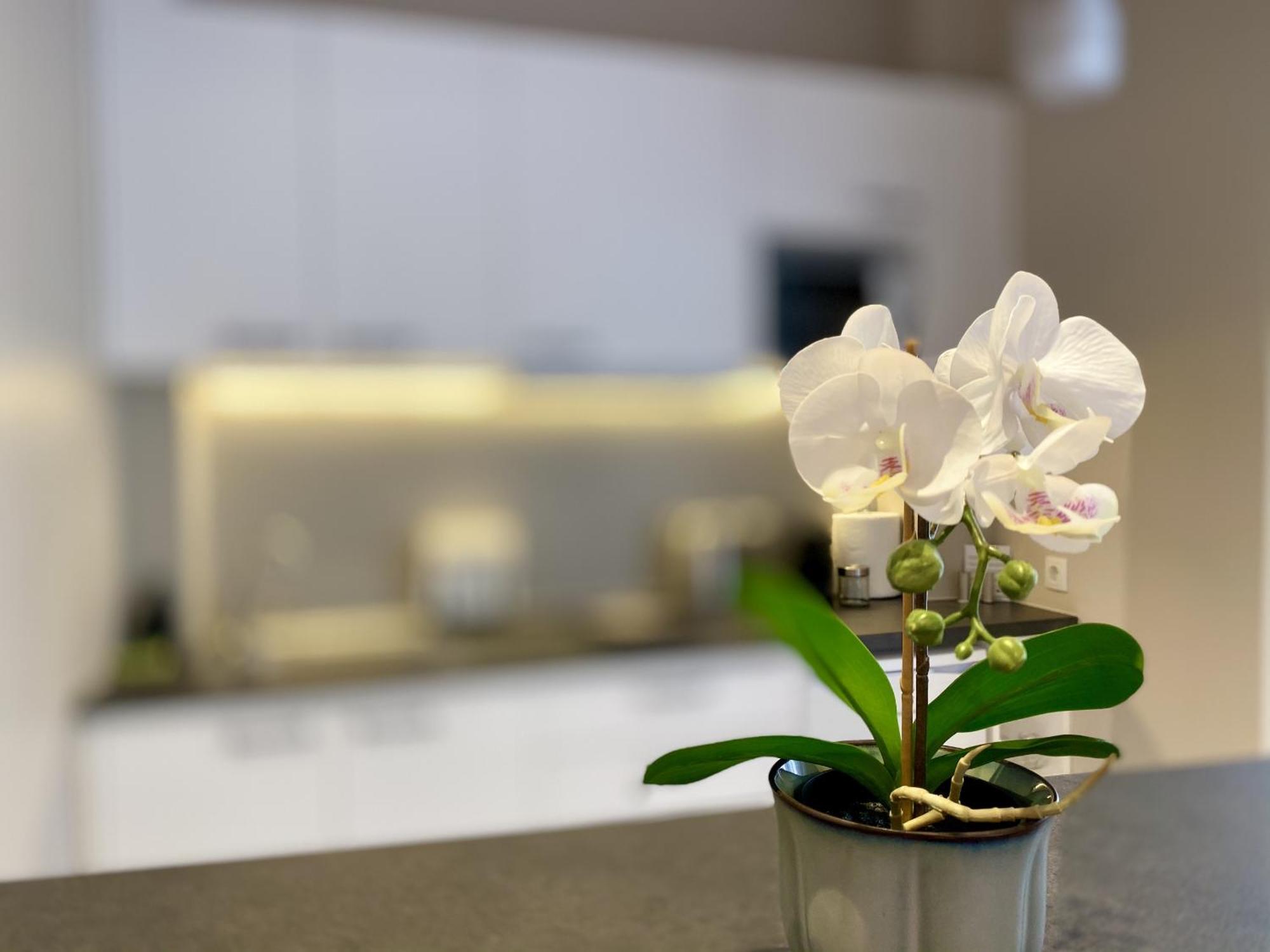 Luxury Studio In Historical Center, Syntagma-Plaka Athén Kültér fotó